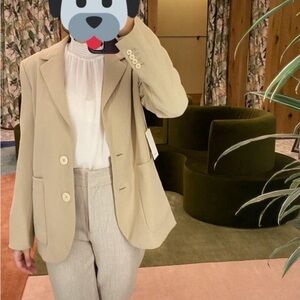 ARITZIA WILFRED NWT SORRENTO BLAZER M